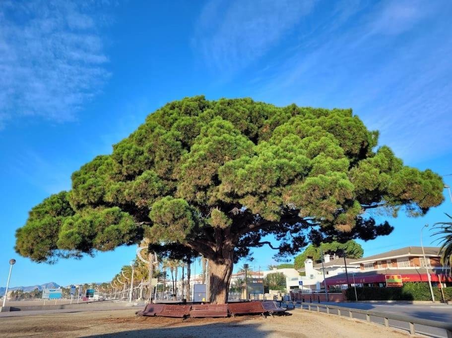 Cambrils Dulces Suenos公寓 外观 照片